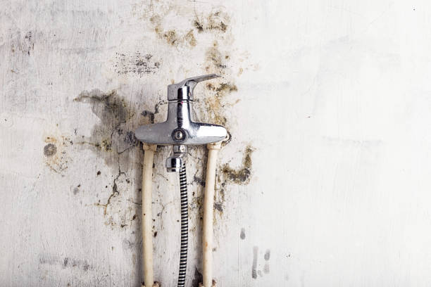 Water Damage Restoration in Lake Mills, IA