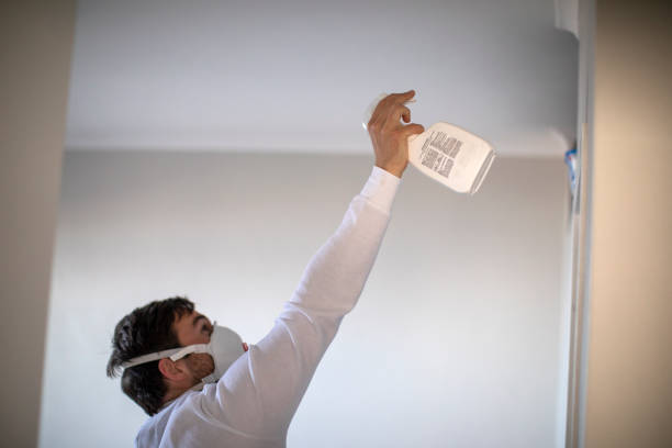 Best Home Mold Removal  in Lake Mills, IA