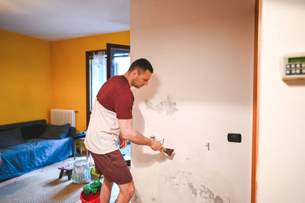 Best Local Mold Removal Service  in Lake Mills, IA